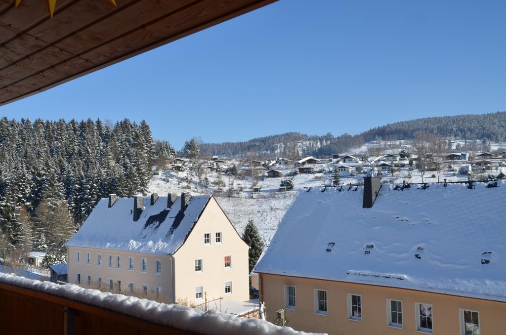 Ferienwohnung Elisabeth Клингенталь Экстерьер фото